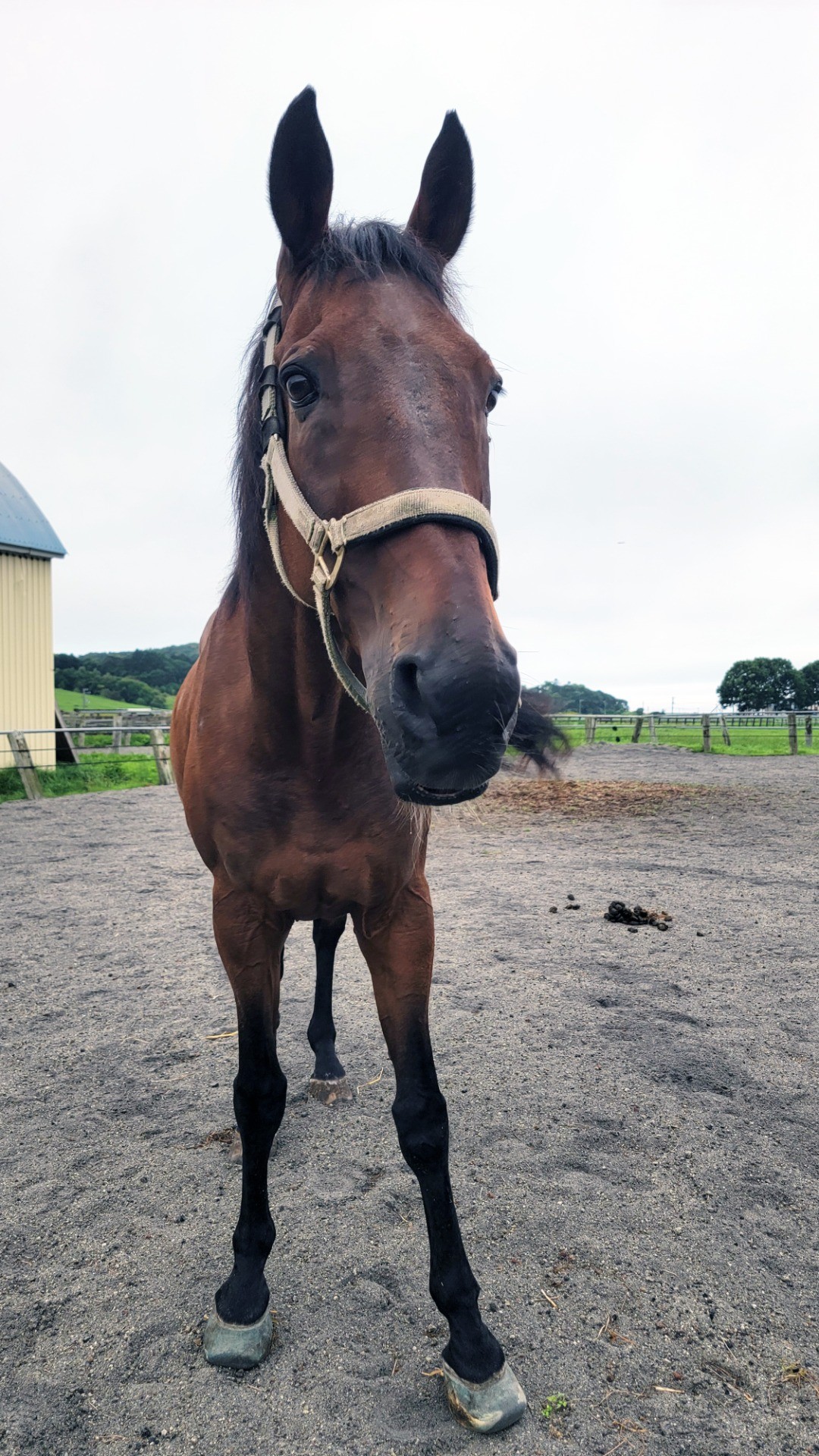 0ab686ddd5600afde85b24c482464939-1760933682.jpg 0ab686ddd5600afde85b24c482464939-1760933682.jpg